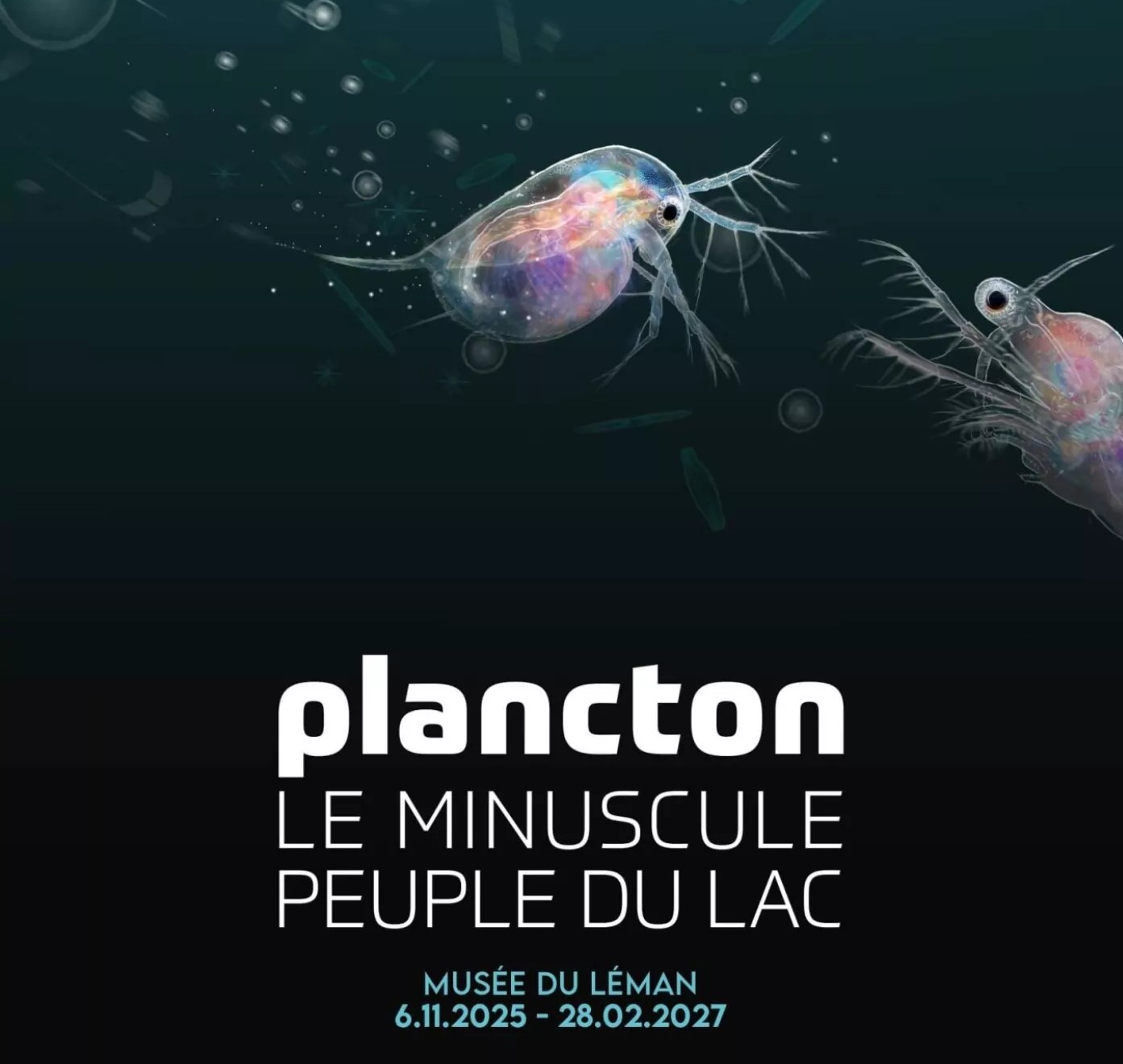 Plancton